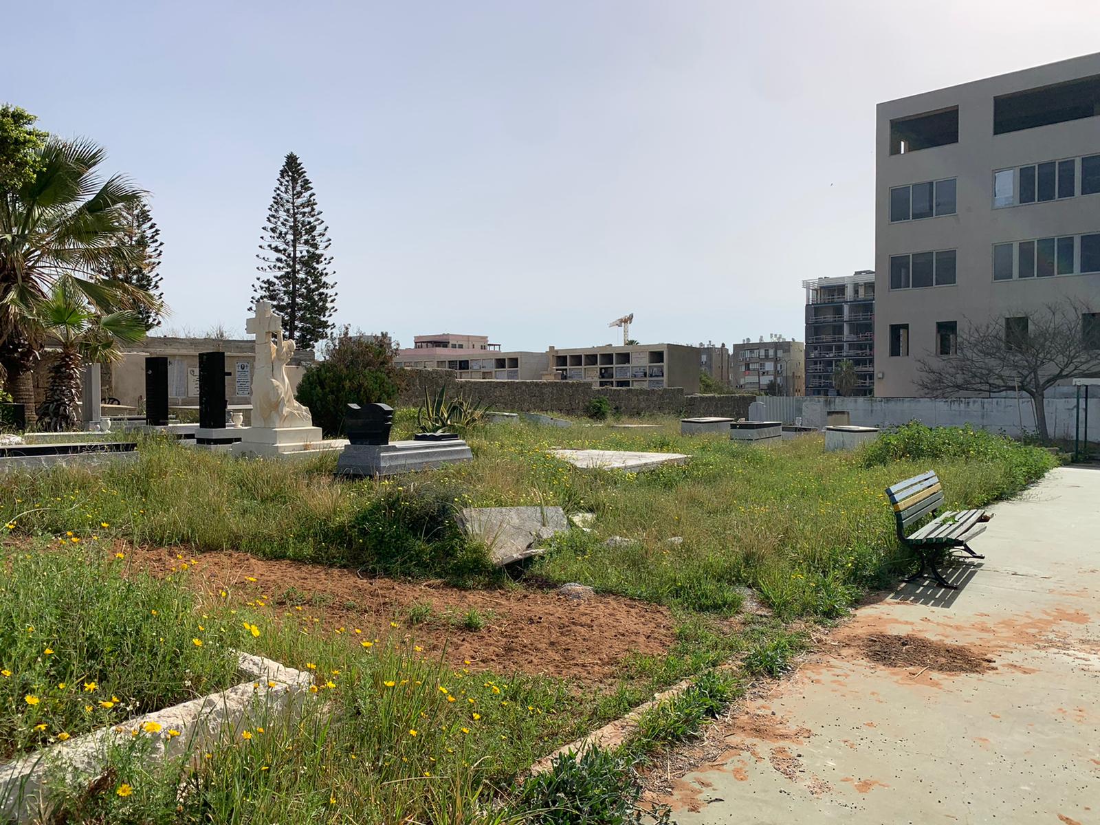 WhatsApp Image 2023-03-13 at 9.33.39 AM.jpeg